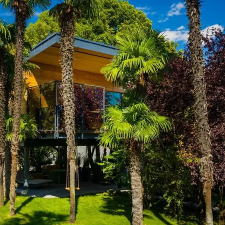 Treelodgy, The Tree House *